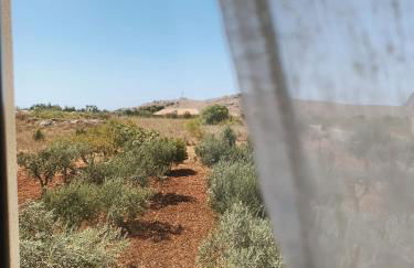 Terra di Suli - Foto 17