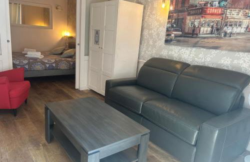 Ancien Atelier Parisien Grand 2 pièces - Foto 3