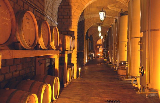 Villa Vinarte Elegant Home 2 Pools Tennis spa Winery Exclusively for you - Foto 13