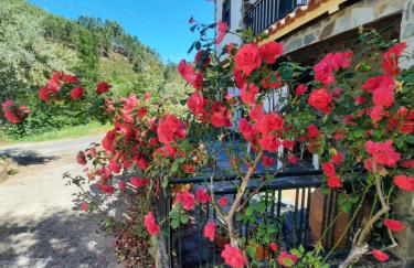 Casa Penafalcão - Foto 1
