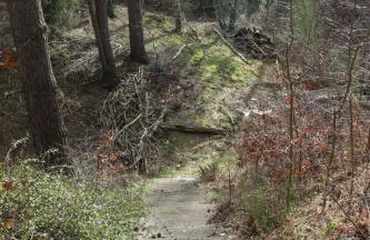 Apartment mit Pool by Interhome - Foto 15