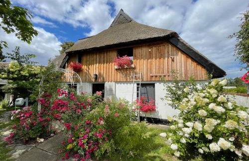 Naturwerk Ostsee - Foto 30