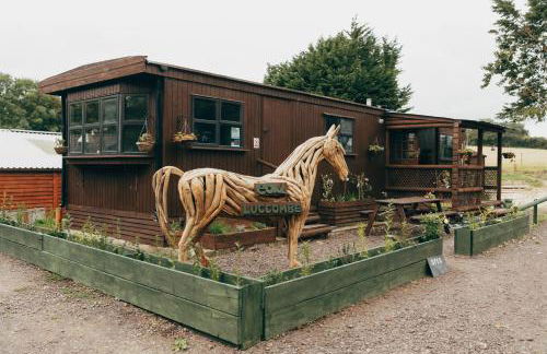 Luccombe Farm Holiday Cottages - Photo 52