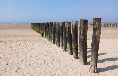 La Maison Des Caps AU BLANCNEZ - Foto 38