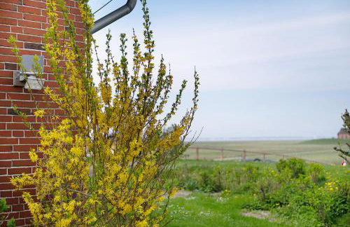 Gästehaus Tadenswarf - Foto 53