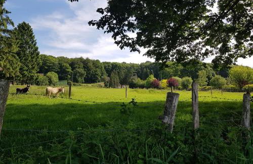 Gîte en lisière de forêt andaine - Foto 17