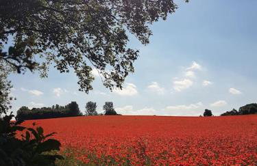 No6 High Street - Foto 19