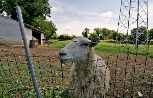 Apartment 1877 - Foto 50