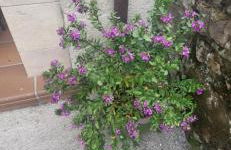 La Casa de la Vega - Foto 9