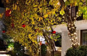 Αλώνι - Photo 23