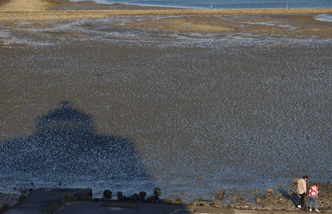 Modern Retreat With Private Sauna - Photo 36