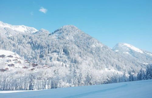 Chalet la Dransette - Photo 30