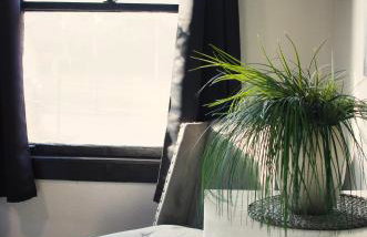 AC! Family Space-Retro Home in Historic Albany - Foto 48