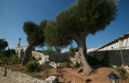 Masseria Cinti - Foto 107