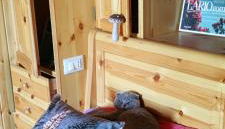 Baita Carlito - Foto 4