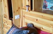 Baita Carlito - Foto 4