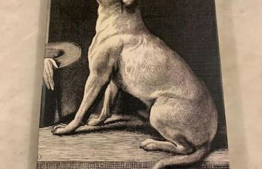 A unique, off-grid Eco Friendly Beach House. - Foto 68