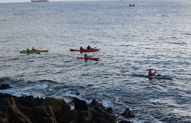 Ginentonic Cottage - Foto 20