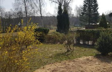 Mecklenburgische Seenplatte - FH mit optionalem Steg und Ruderboot - Foto 9