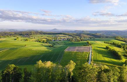 Ferienwohnung "Haus am Weifberg" Hinterhermsdorf - Photo 20