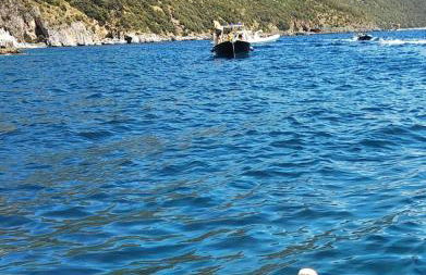 Scario house - Foto 18