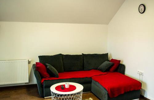 Kraljeva hiža - Apartmani i sobe Kralj - Foto 27