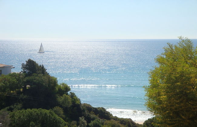 Bicos 101 CIP - Foto 28