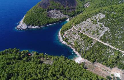 Robinson house Orlandusa - Foto 21