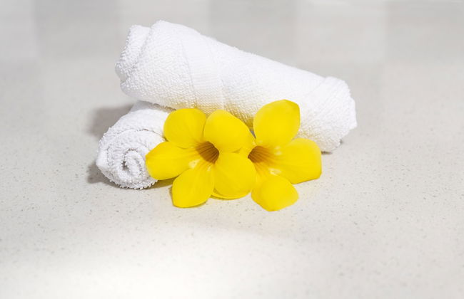 Creole Breeze Self Catering Apartments - Photo 17