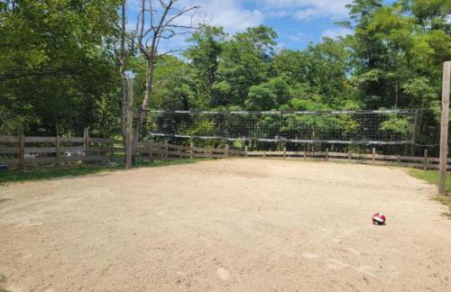Wildflower Cabin with a private hot tub - Foto 47