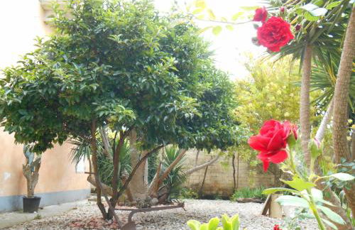 Oasi Rupestre - Photo 24