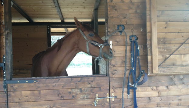 Borne des arrivées/des départs