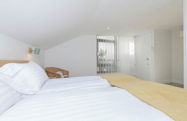 Solaga - Chinchilla - Foto 8