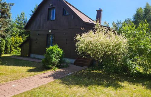 Leśne Wspomnienia - Foto 1