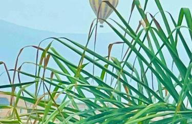 Your Home Away From Home near Wineries & Old Town - Foto 54