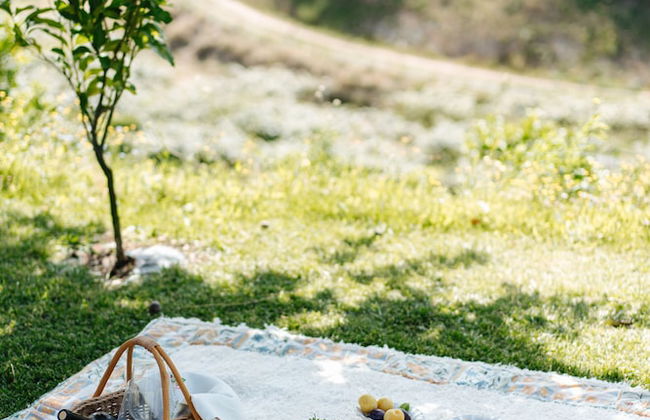 D'Autor Village - Photo 39