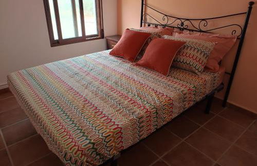 El Oasis Morado - Foto 18