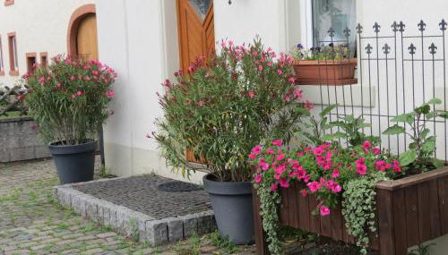 Eifel-Moezelhuis - Foto 2