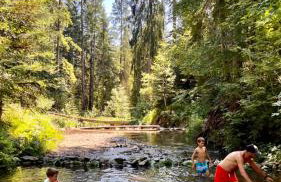 Domek Babiogórski z JACUZZI - Foto 26