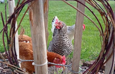 fuldaliebe - Helle Ferienwohnung mit Küche, Parkplatz, WLAN, Self Check-in - Foto 61