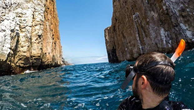 Excursión a Roca León Dormido - Foto 2, Podreis hacer snorkel en León Domido