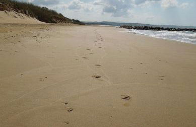 Villa Cipollazzo - Foto 21