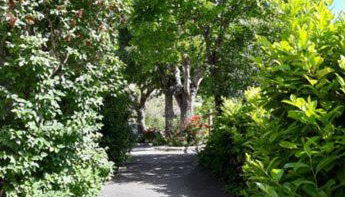 Au bord du Tarn - Photo 2