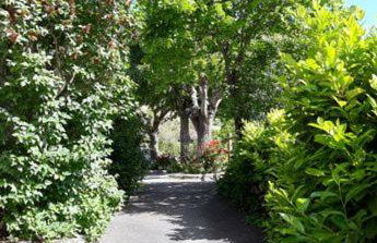 Au bord du Tarn - Photo 2