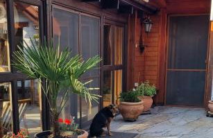 Apartament Skórcz Kociewie Pomorze Gdańskie Agroturystyka - Foto 23