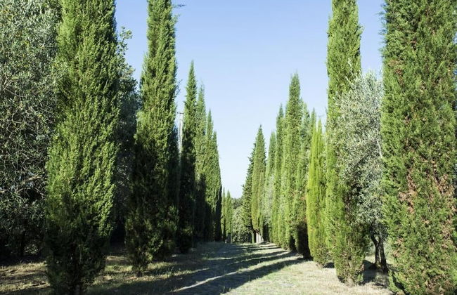 Casale degli Ulivi - Photo 42