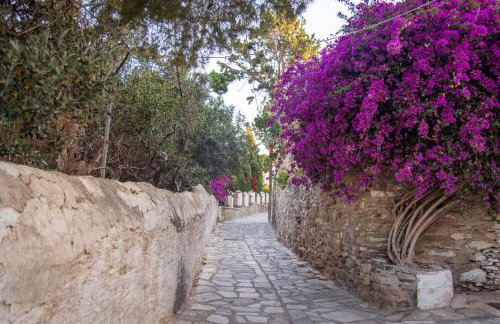 Sta Perivolia - Foto 28