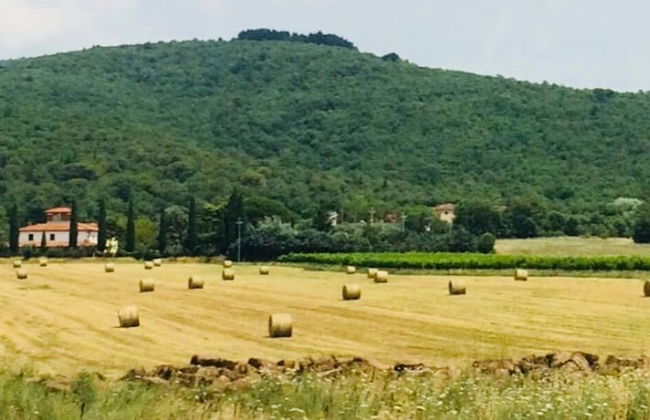 Agriturismo La Posta Reale - Foto 42