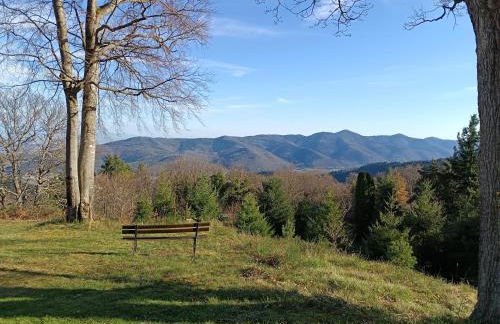 Se détendre Au Petit Epi - Photo 11