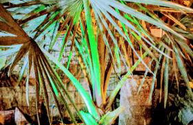 Casa com piscina Itapoá Itapema do Norte - Foto 5